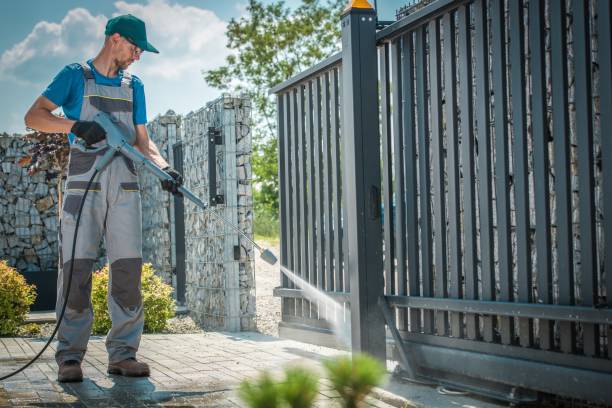 Best Boat and Dock Cleaning  in Lake Magdalene, FL