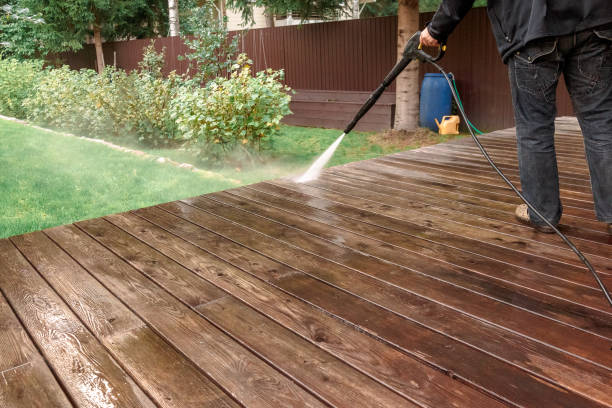 Pre-Holiday Cleaning in Lake Magdalene, FL