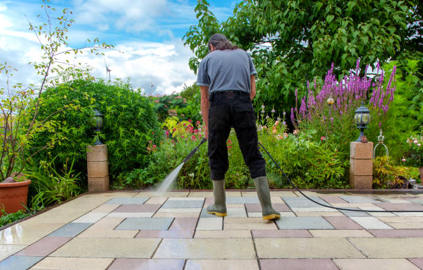 Best Animal Enclosure Cleaning  in Lake Magdalene, FL