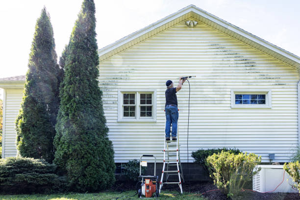 Best Patio and Deck Pressure Washing  in Lake Magdalene, FL