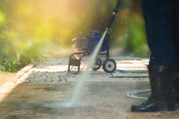 Best Rust Removal  in Lake Magdalene, FL
